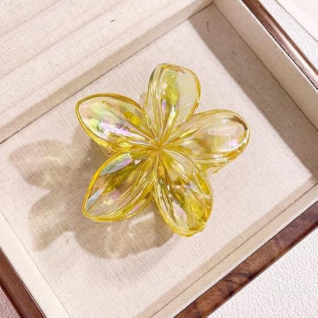 Transparent Flower Hair Claw Clips